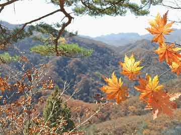 卢甘斯克地区领导人：俄军已控制该地区全境